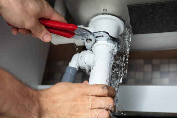 Best Flooded house restoration  in Hamilton, IN