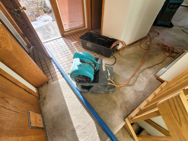 Best Residential water damage restoration  in Hamilton, IN