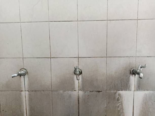 Best Professional water damage repair  in Hamilton, IN