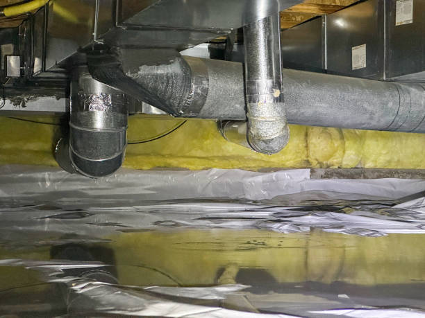 Best Local water damage restoration  in Hamilton, IN