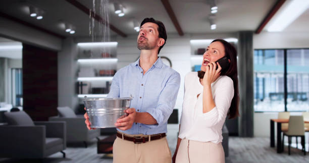 Best Professional water damage repair  in Hamilton, IN