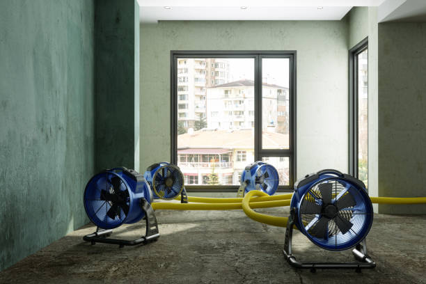 Best Carpet water damage restoration  in Hamilton, IN