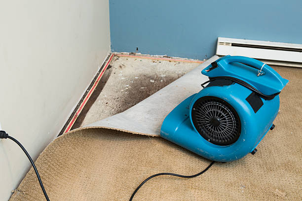, IN Water damage restoration Company